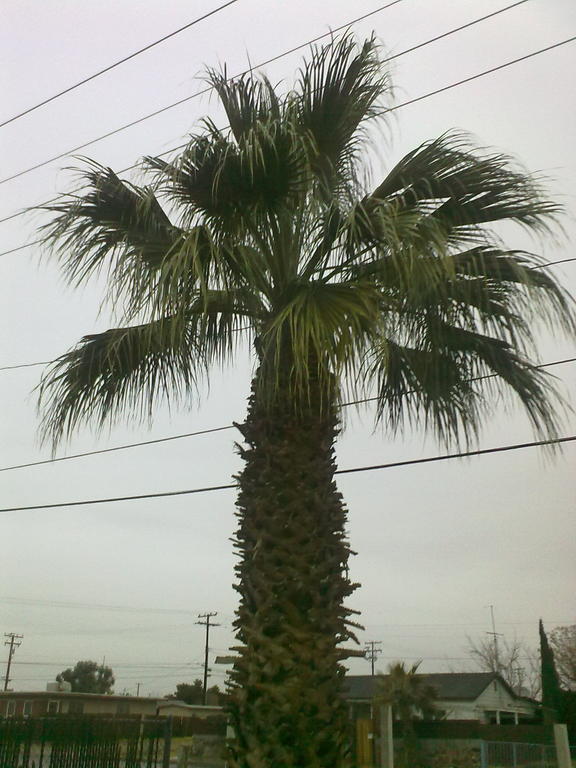 Hotel Europa Ridgecrest Luaran gambar